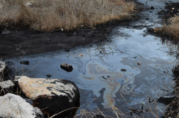 Oil And Oil Spills